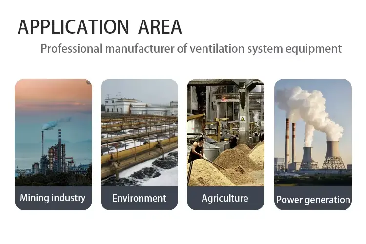 Type D Centrifugal Fan