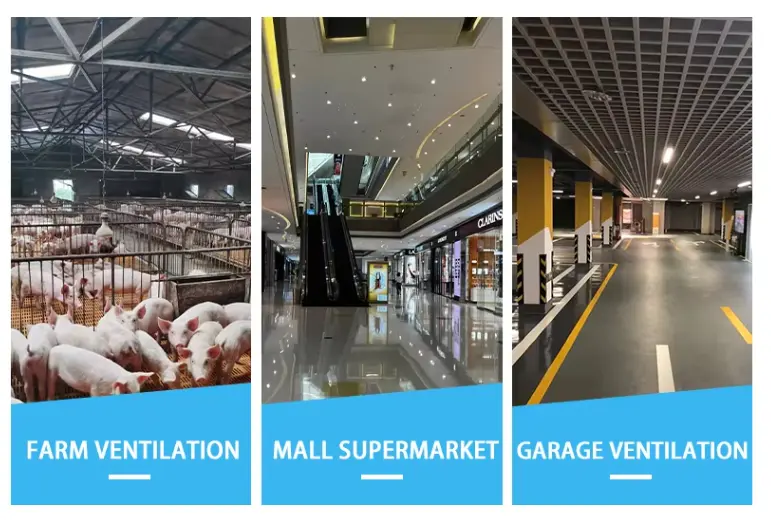 Centrifugal Ventilator Fan